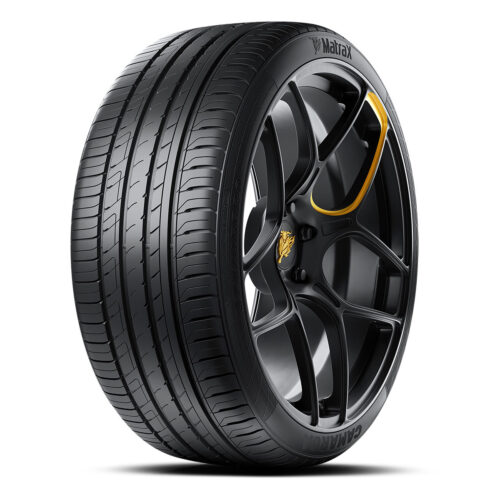 245/45R18 100W MatraX Camarga (TH)